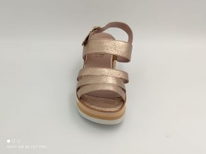 Alternative view of Wonders 7812