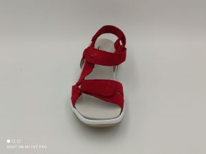 Alternative view of Gabor 2692846