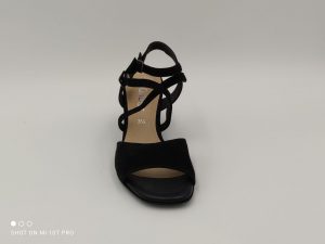 Alternative view of Gabor 2185017