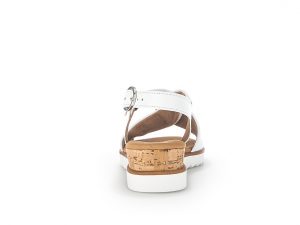 Alternative view of Gabor 6275150