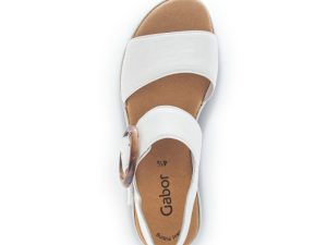 Alternative view of Gabor 6455020